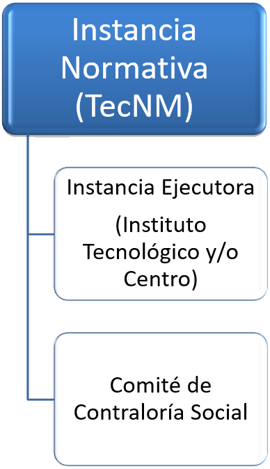 Estructura Operativa